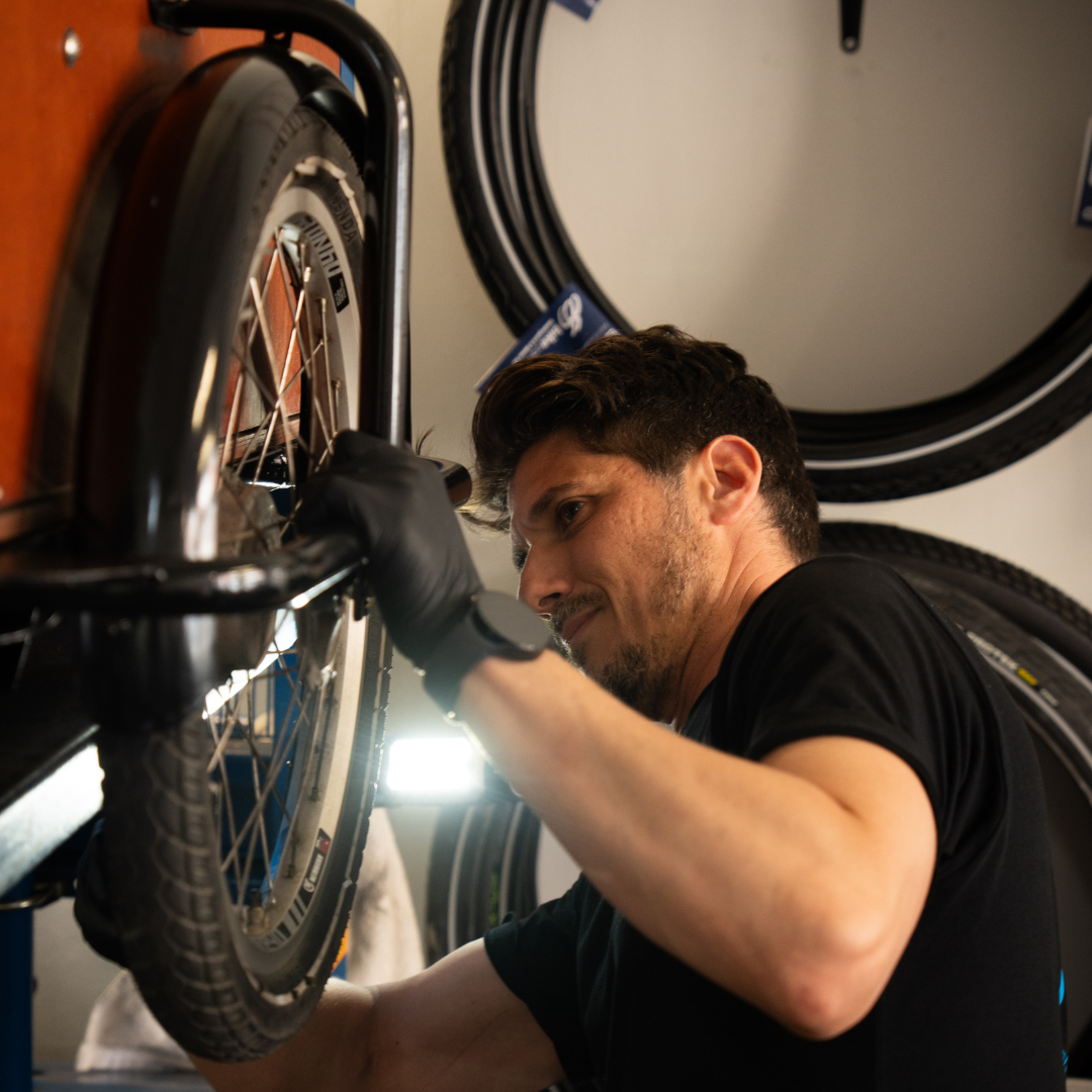 Cargo Bike Inspection & Diagnostic